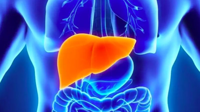 Ăn đào không chỉ giúp giải độc gan mà còn cải thiện sức khỏe toàn diện