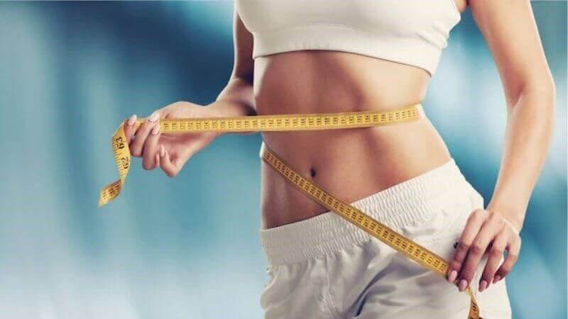 B&eacute;o ph&igrave; v&agrave; c&aacute;c rối loạn chuyển h&oacute;a li&ecirc;n quan đến chế độ ăn nhiều chất b&eacute;o (HFD) c&oacute; thể được giảm thiểu nhờ rau đay