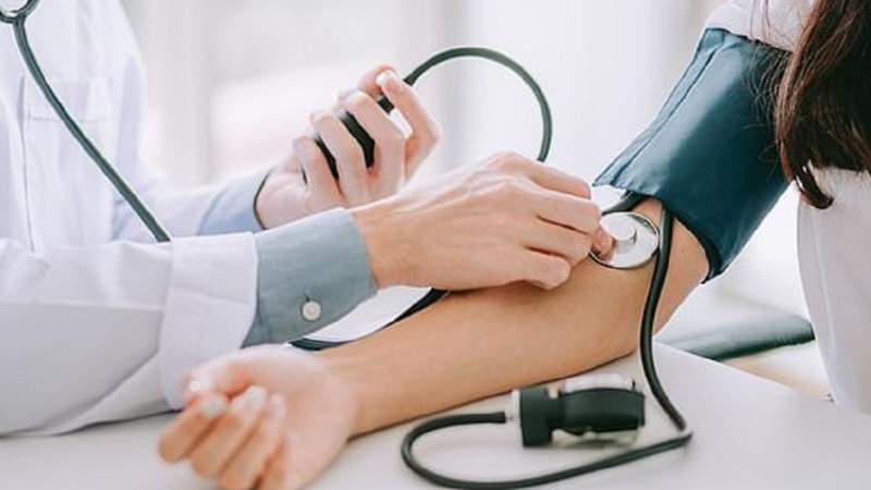 Lá xoài giúp tăng cường lưu thông máu và hạ huyết áp
