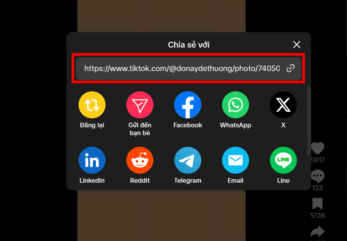 Cách tải ảnh TikTok không dính ID trên máy tính