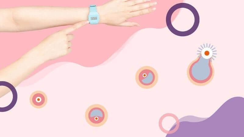 Cây bòng bong thể hiện tiềm năng đáng chú ý trong việc ức chế rụng trứng và chống sự làm tổ của trứng đã thụ tinh Cây bòng bong thể hiện tiềm năng đáng chú ý trong việc ức chế rụng trứng và chống sự làm tổ của trứng đã thụ tinh