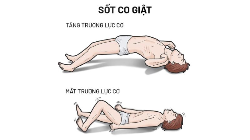 Trong Y học cổ truyền, chu sa được dùng giúp giảm sốt và co giật do nhiễm trùng Trong Y học cổ truyền, chu sa được dùng giúp giảm sốt và co giật do nhiễm trùng