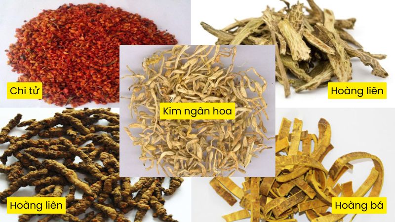 Khi ngộ độc thủy ngân trong chu sa có thể sử dụng bài thuốc Hoàng liên giải độc thang để giải độc Khi ngộ độc thủy ngân trong chu sa có thể sử dụng bài thuốc Hoàng liên giải độc thang để giải độc