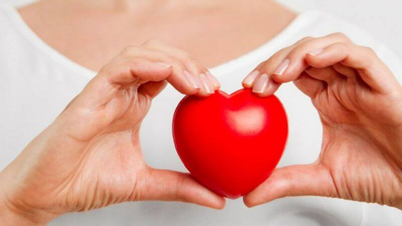 Nguyệt quế không chỉ hỗ trợ kiểm soát đường huyết mà còn giúp cải thiện hồ sơ lipid máu, giảm nguy cơ mắc bệnh tim mạch