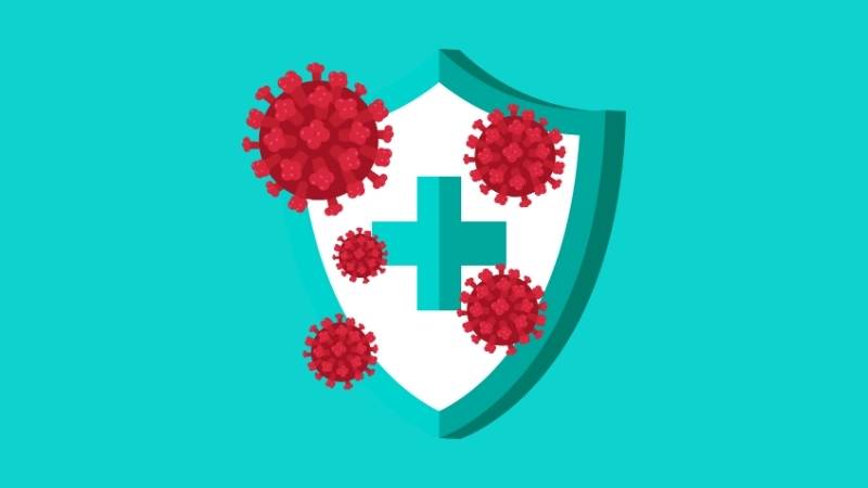 Hoa hồi chứa hợp chất có khả năng kháng virus