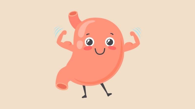 Hoa hồi chứa nhiều hợp chất có lợi cho sức khỏe dạ dày