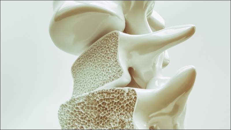 Axit linoleic của hoa hồi giúp hỗ trợ điều trị loãng xương