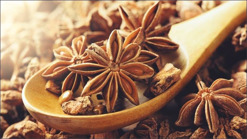 Hoa hồi có khả năng chống oxy hóa mạnh