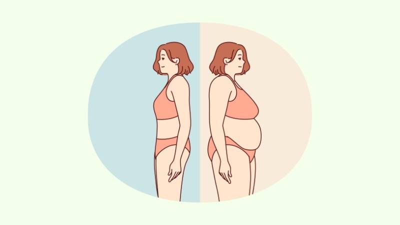 Hợp chất trans-anethole của hoa hồi có khả năng ngăn ngừa béo phì