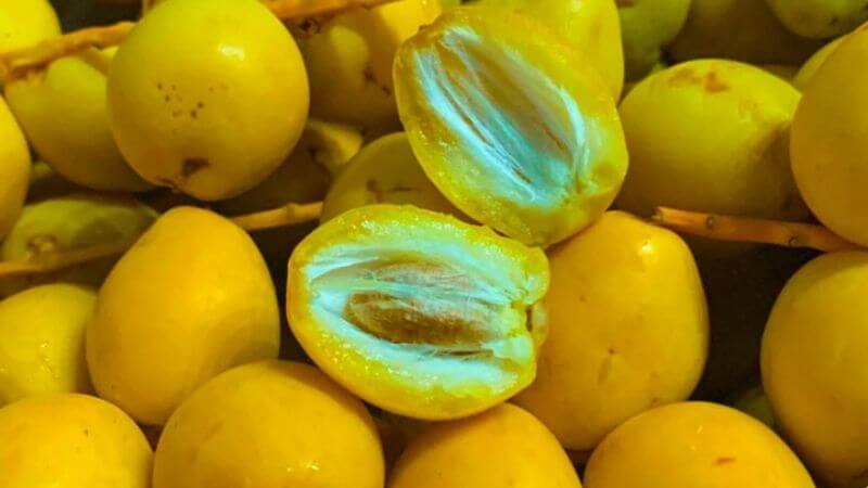 Liều lượng thích hợp của quả chà là phụ thuộc vào nhiều yếu tố như tuổi tác, tình trạng sức khỏe của người sử dụng