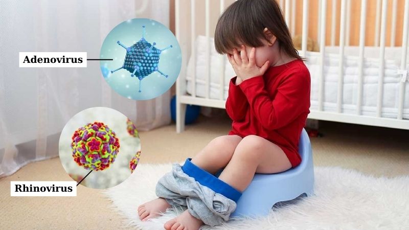 Adenovirus và rhinovirus là hai loại virus cảm lạnh có khả năng gây tiêu chảy ở trẻ em