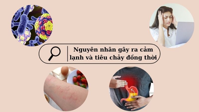 Một số nguyên nhân gây ra cảm lạnh và tiêu chảy đồng thời