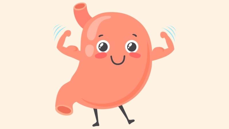 Khoai mỡ chứa tinh bột kháng có tác dụng bảo vệ niêm mạc dạ dày