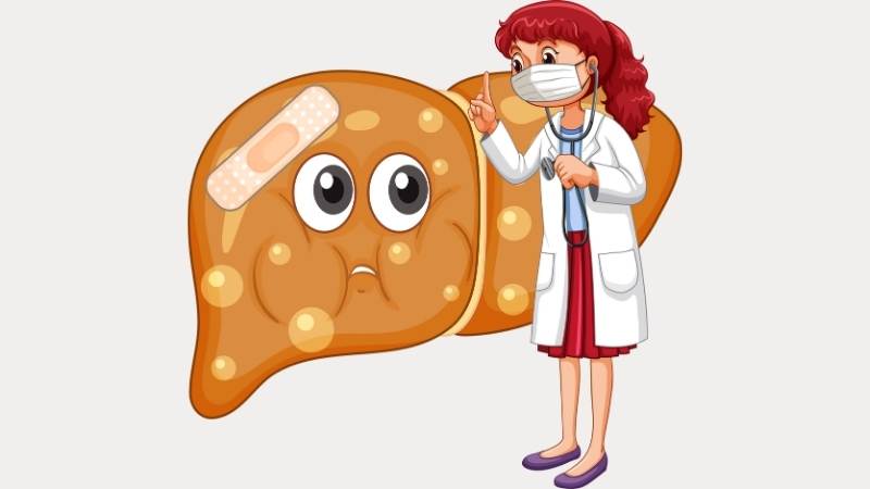 Khoai mỡ giúp ngăn ngừa bệnh gan nhiễm mỡ không do rượu