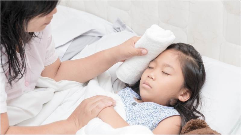 Lá khoai mỡ được sử dụng để pha chế các bài thuốc sắc giúp hạ sốt