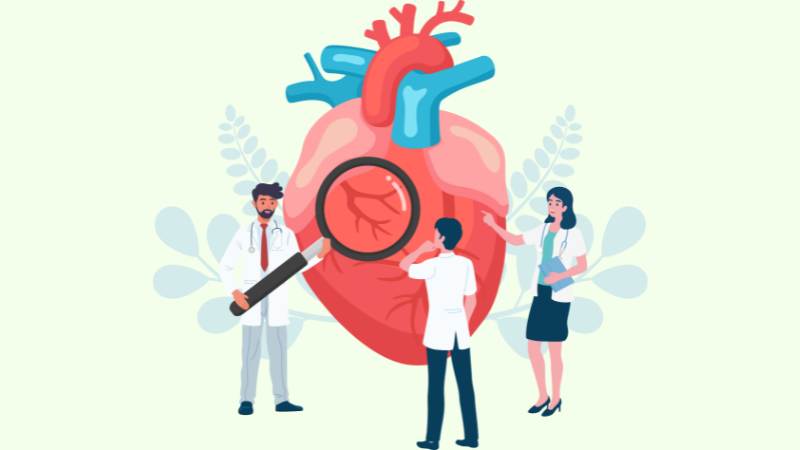 Khoai mỡ mang lại lợi ích đáng kể cho sức khỏe tim mạch