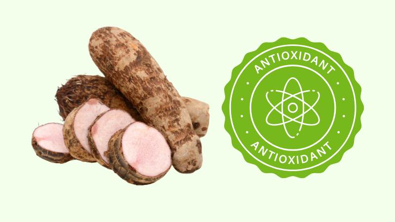 Khoai mỡ sở hữu đặc tính chống oxy hóa mạnh mẽ