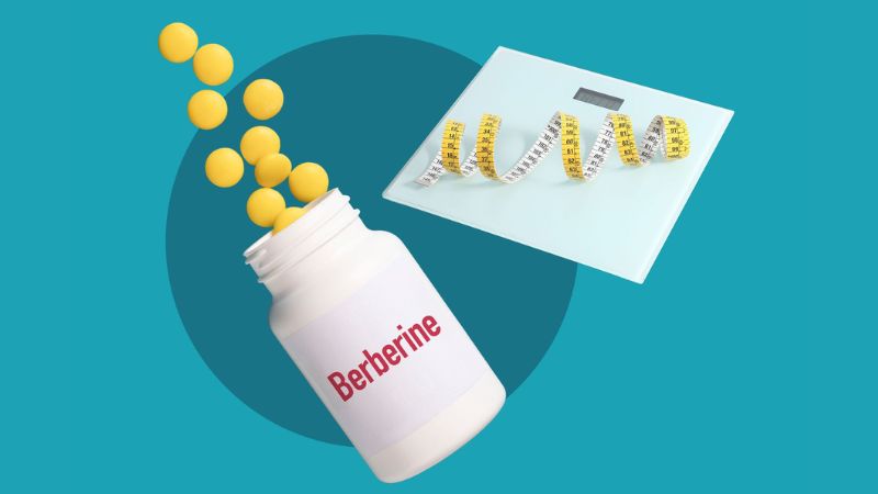 Một số nghiên cứu cho thấy berberin có thể giúp giảm chỉ số khối cơ thể 