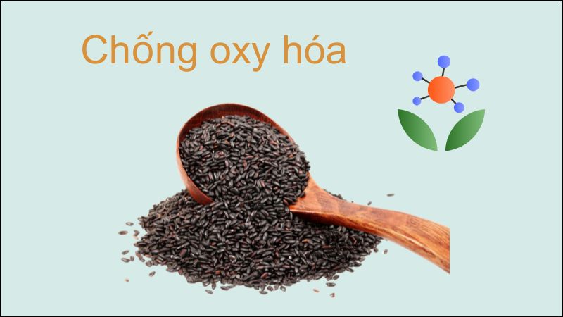 Gạo lứt đen có khả năng trung hòa các gốc tự do và chống oxy hóa hiệu quả