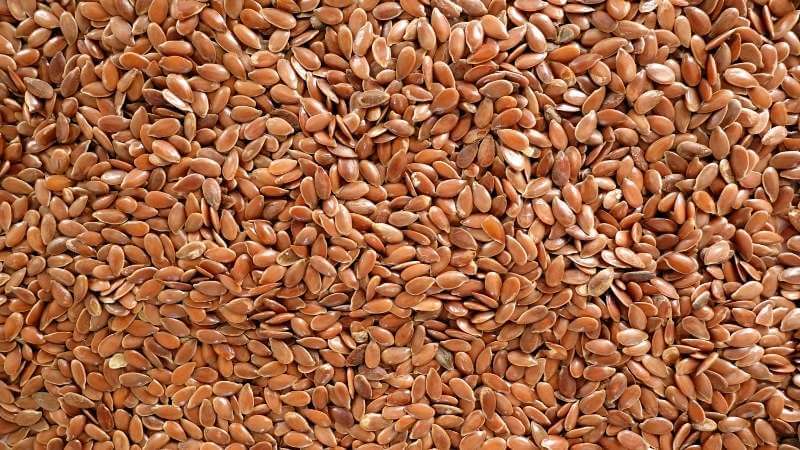 Hạt lanh là hạt được trồng nhiều ở Bắc bán cầu