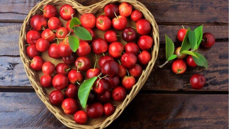 Bạn chỉ nên dùng khoảng 50 - 100g quả sơ ri chín mỗi tuần