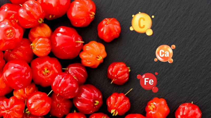Quả sơ ri cung cấp nhiều vi chất cho cơ thể