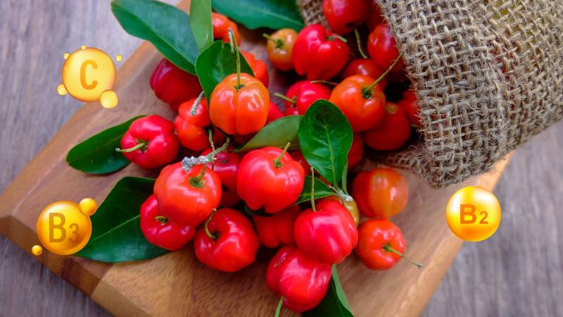 Sơ ri chứa nhiều vitamin quan trọng đối với sức khỏe
