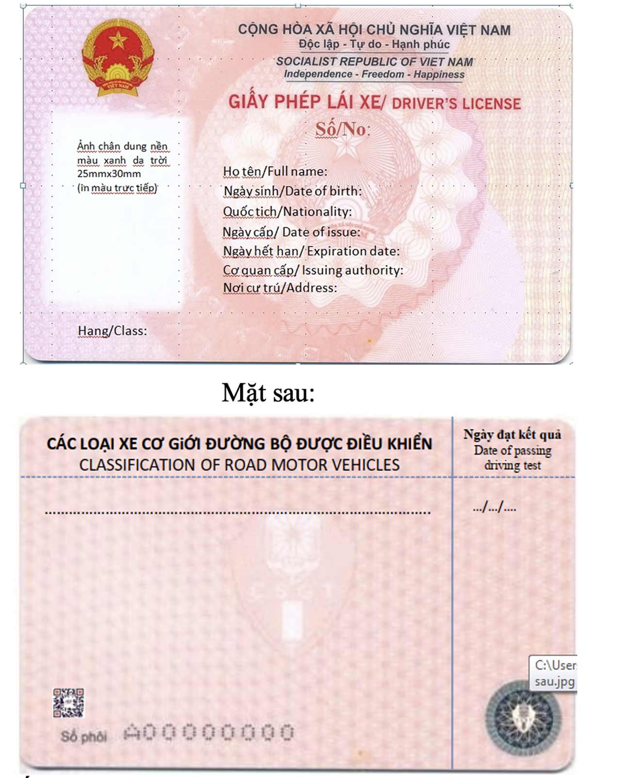 Thông tin giấy phép lái xe mới từ 2025