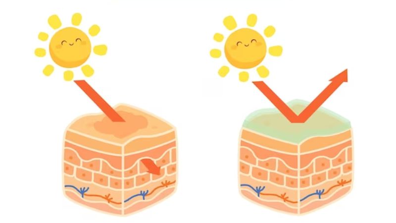 Cà chua chứa lycopene giúp bảo vệ làn da khỏi tác hại của tia UV