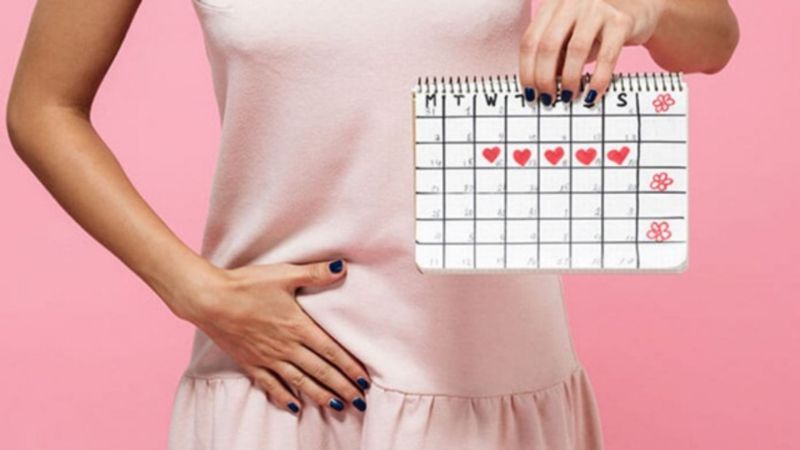 Bài thuốc từ cây máu chó giúp điều hòa kinh nguyệt hiệu quả