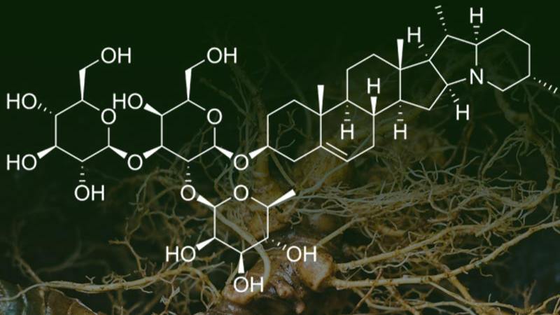 Saponin là một hợp chất tự nhiên có cấu trúc glycosid