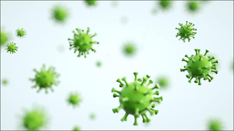Saponin và sapogenin có khả năng kháng virus