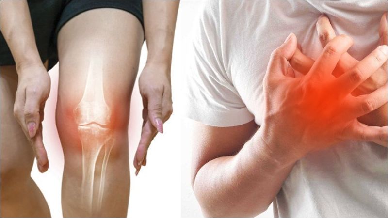 Đan sâm có thể chữa viêm khớp cấp kèm theo tổn thương ở tim