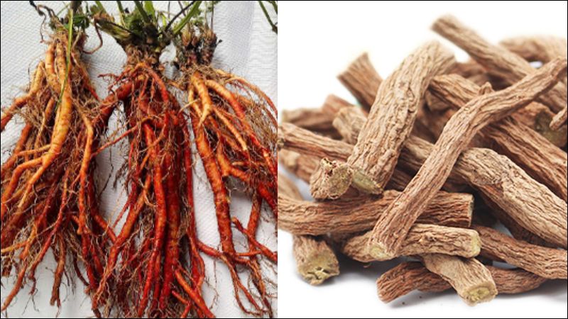 Đan sâm tốt thường có màu hồng tía, miếng chắc, khô, mềm