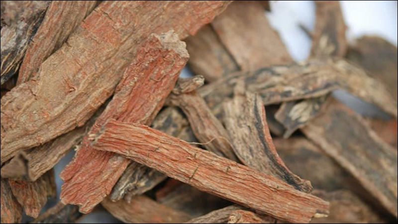 Đan sâm có tác dụng hoạt huyết, giảm đau
