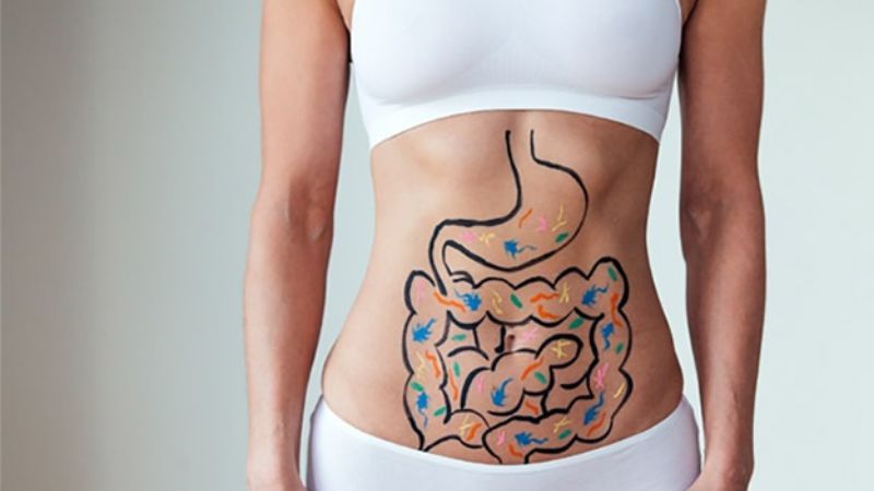 Hoa sen cải thiện sự phát triển của các vi khuẩn có lợi trong đường ruột