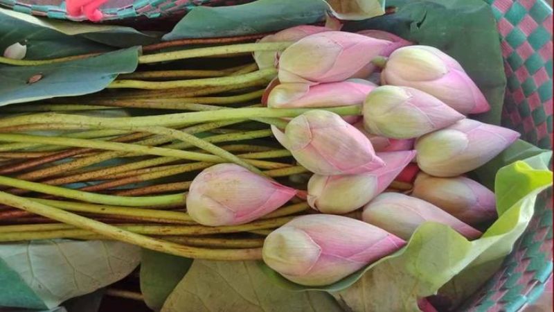 Tùy vào từng bộ phận mà cách bảo quản cũng khác nhau