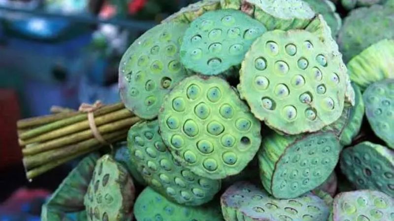 Liên phòng là một trong những vị thuốc có tính ôn