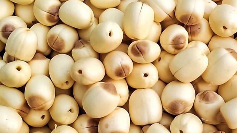 Liên nhục là một trong những vị thuốc có tính bình