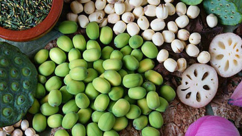 Thạch liên nhục là một trong những vị thuốc có tính hàn