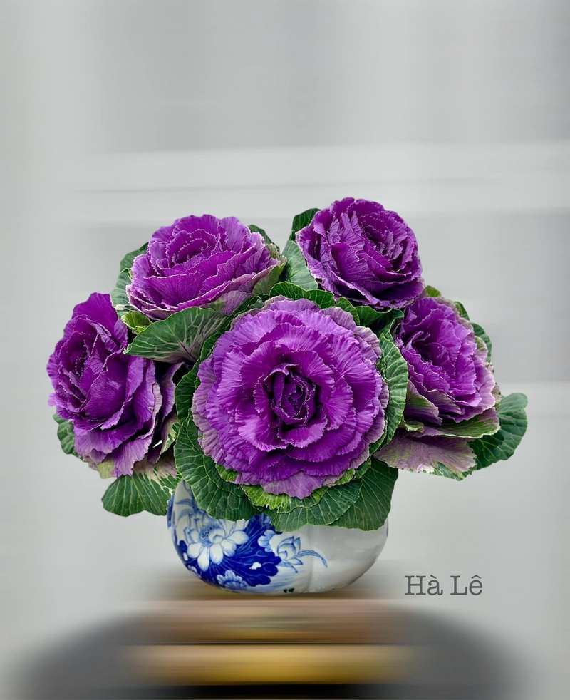 Mẫu cắm hoa đẹp, đơn giản với bình cổ thấp số 10