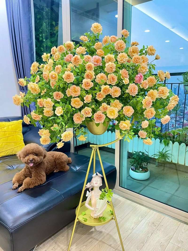 Mẫu cắm hoa đẹp, đơn giản với bình cổ thấp số 2