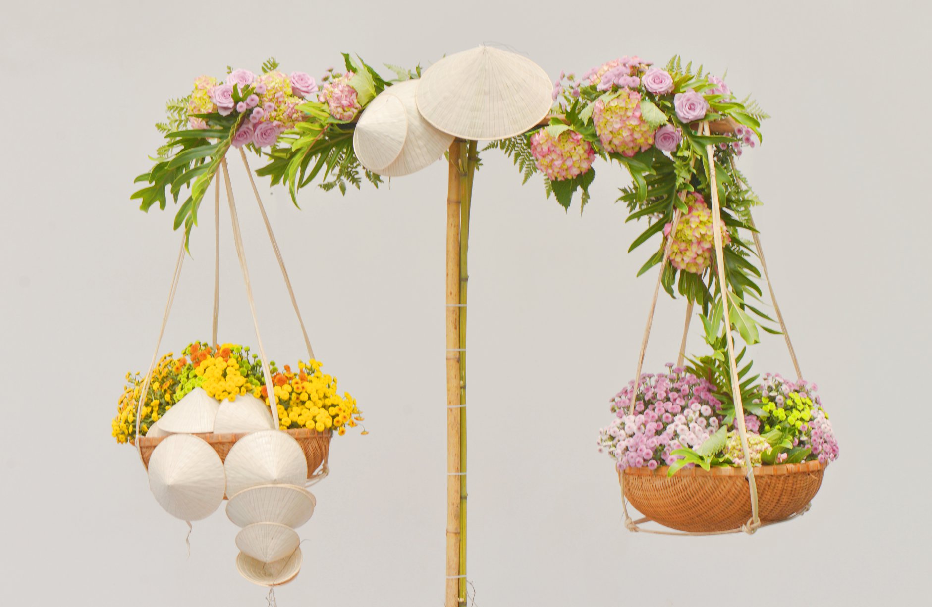 Sắc Màu Phụ Nữ - Quang Gánh Đa Sắc với hoa cúc calimero