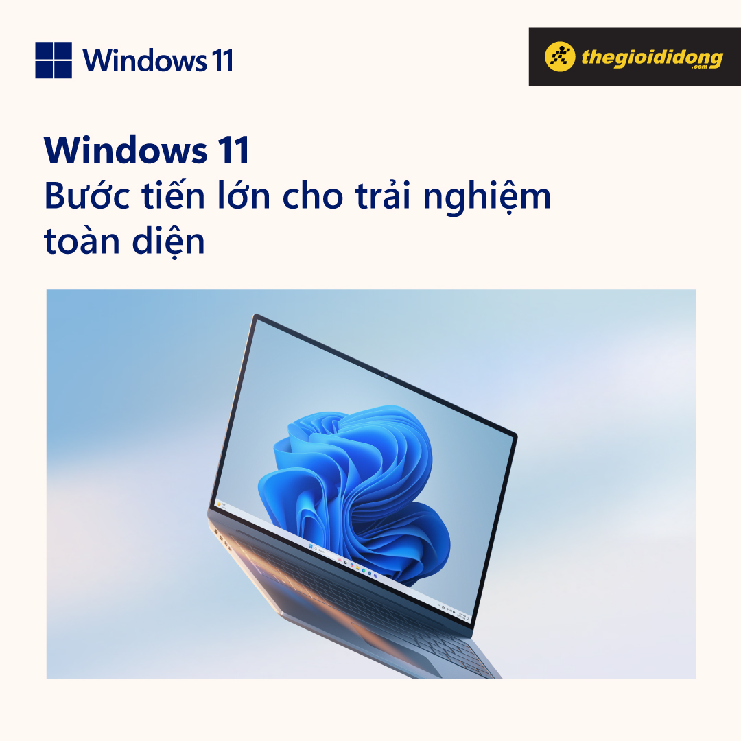 Windows 11