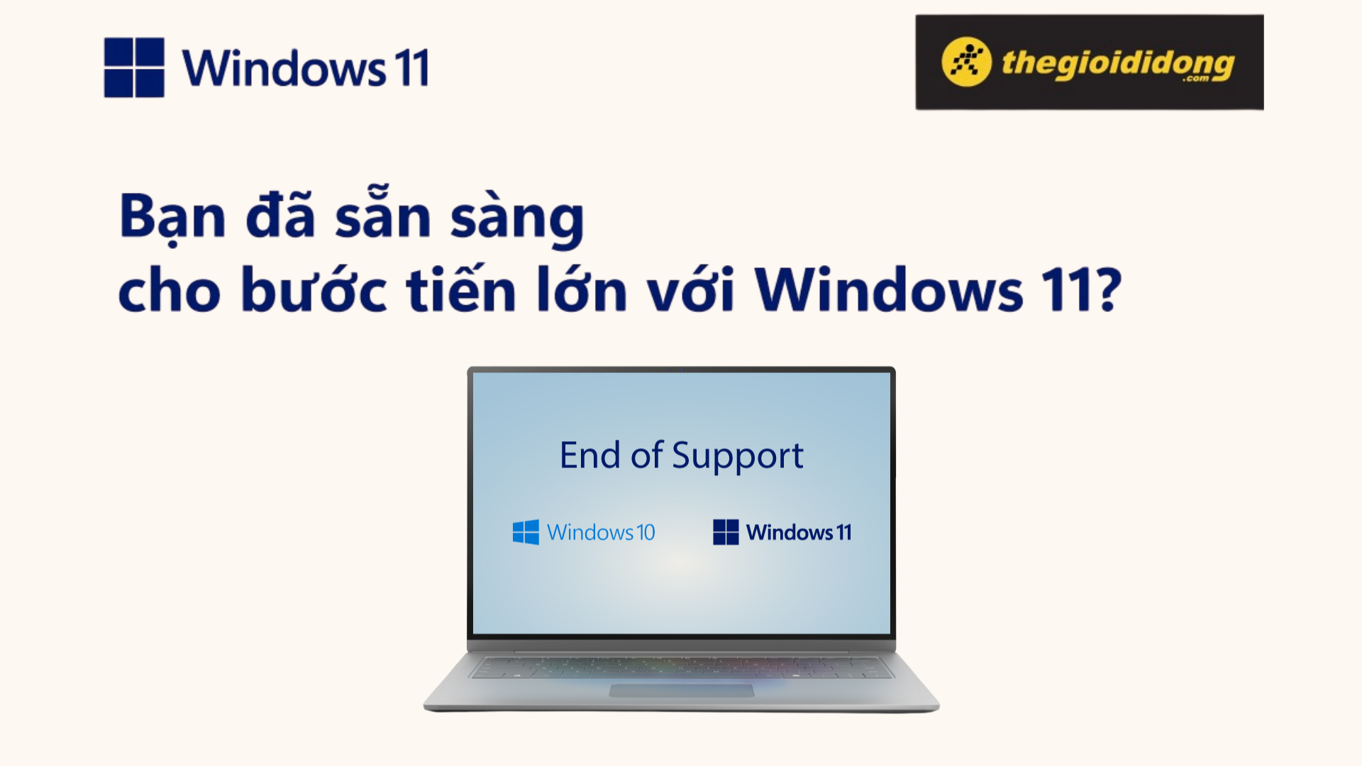 Windows 11