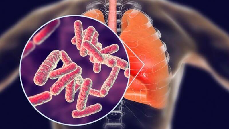 Khổ sâm có khả năng ức chế Mycobacterium tuberculosis, bao gồm cả chủng nhạy cảm và kháng thuốc