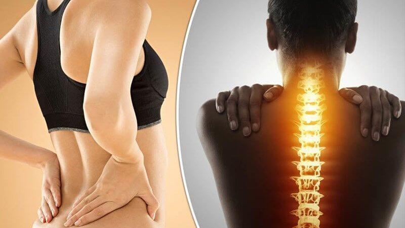 Các diterpenoid từ khổ sâm thúc đẩy biệt hóa tế bào tạo xương bằng cách tăng cường hoạt động ALP và tổng hợp collagen loại I alpha