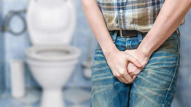 Bài thuốc cây ngái có thể giúp chữa bí tiểu do nhiệt