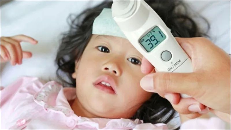 Cây ngái có tác dụng kháng viêm và hạ sốt đáng kể