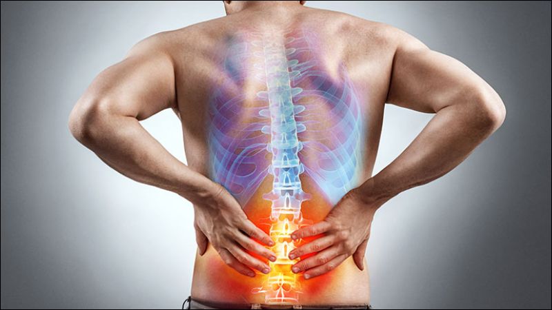 Sao vàng rễ ngái và các dược liệu khác rồi sắc uống để chữa đau lưng